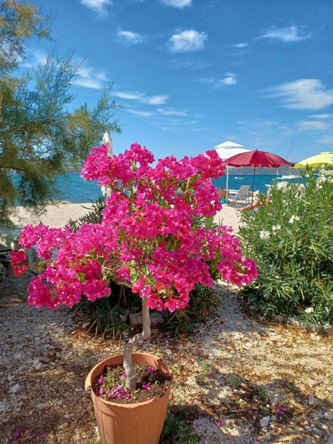 Apartments Amor Trogir Exterior foto